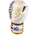 Phantom Athletics Muay-Thai Kik-Boks set - beli - Slika 3