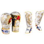 Phantom Athletics Muay-Thai Mma set